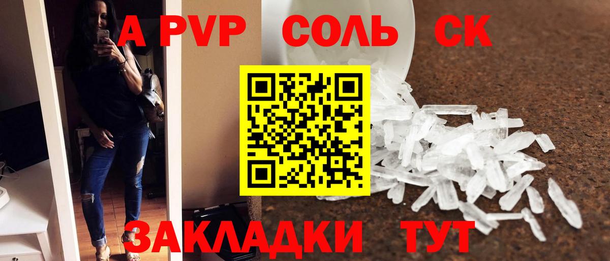 Альфа ПВП СК КРИС Балтийск