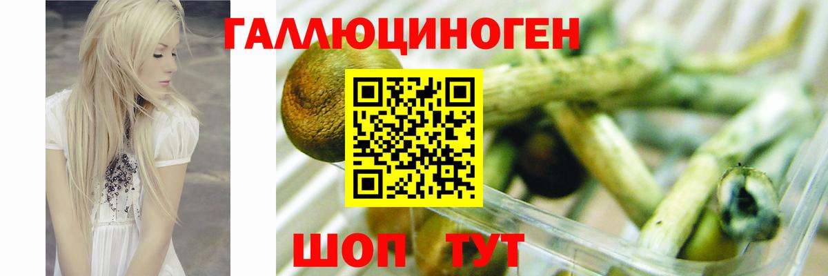 цены   Галлюциногенные грибы прущие грибы  Вход с VPN  Псилоцибиновые грибы мицелий  Балтийск 